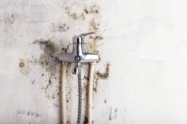 Best Mold Cleaning Services  in Wareham Center, MA
