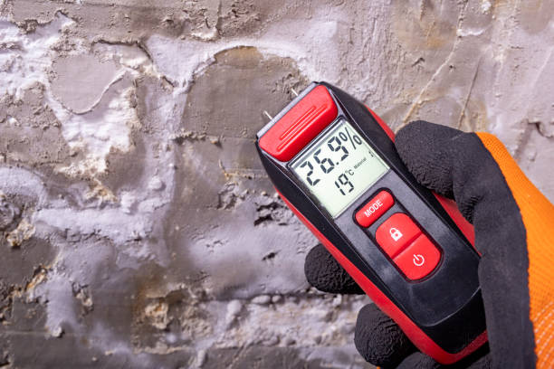 Best Commercial Mold Removal  in Wareham Center, MA