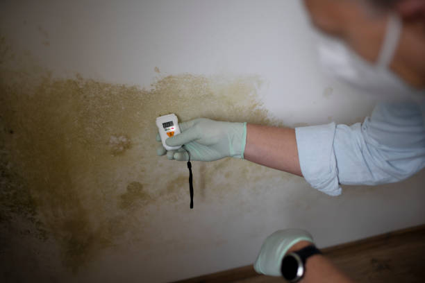 Water Damage Restoration in Wareham Center, MA
