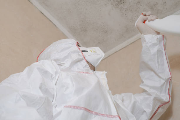 Best Mold Remediation Services  in Wareham Center, MA