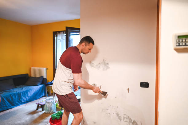 Professional Mold Removal in Wareham Center, MA